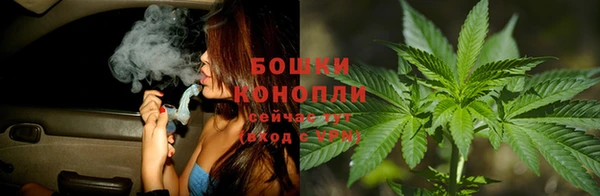 дмт Иннополис