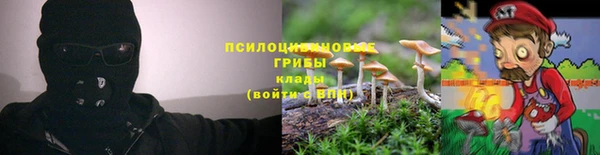 2c-b Зерноград