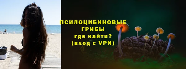 каннабис Инта