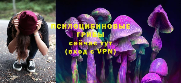 первитин Зеленодольск