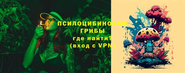 прущие крисы Зеленокумск