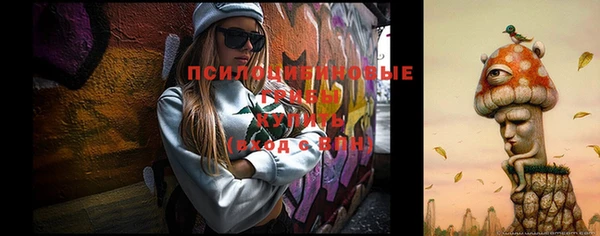 дмт Иннополис