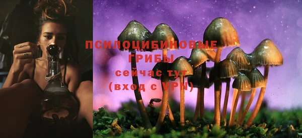 первитин Зеленодольск