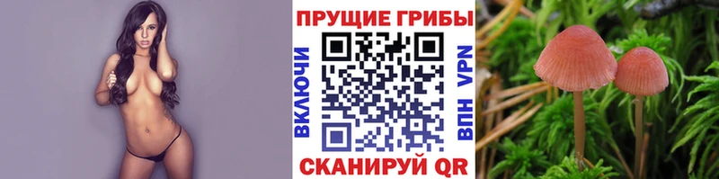 Купить  Кропоткин  Псилоцибиновые грибы MAGIC MUSHROOMS 